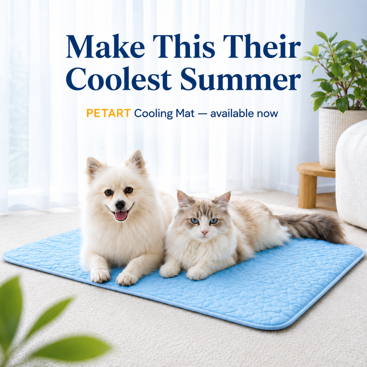 cooling mat for dogs